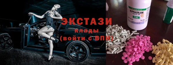 хмурый Аркадак