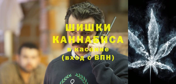 хмурый Аркадак