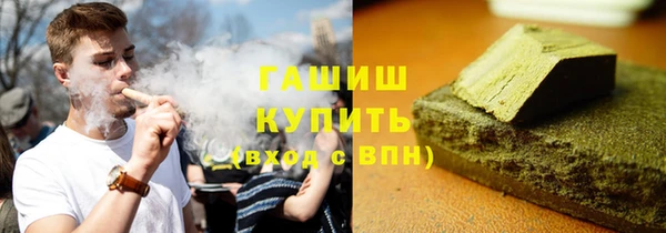 хмурый Аркадак