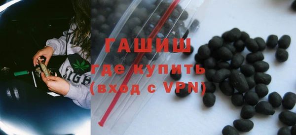 хмурый Аркадак