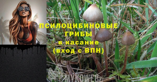 mix Арсеньев
