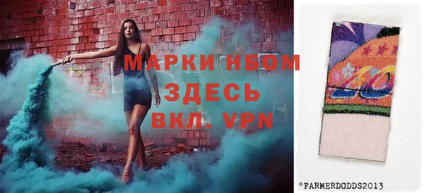 хмурый Аркадак