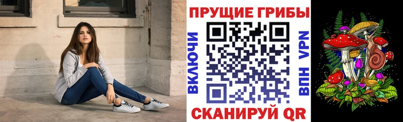 как найти закладки  blacksprut ONION  Псилоцибиновые грибы мицелий  Петушки 
